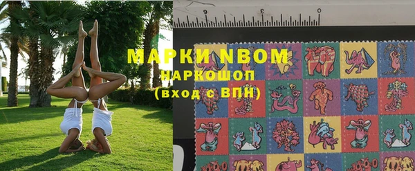 шишки Абинск