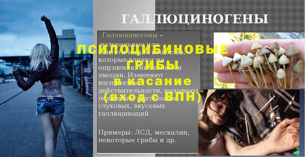 шишки Абинск