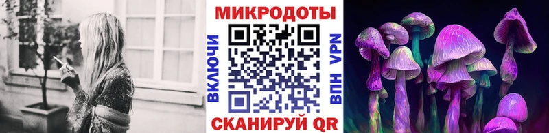 Псилоцибиновые грибы GOLDEN TEACHER  продажа наркотиков  Ак-Довурак 
